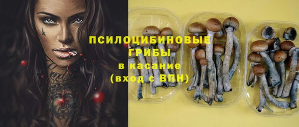 шишки Армянск