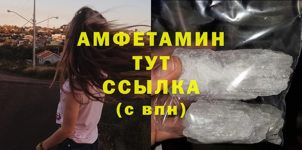 амф Алексин