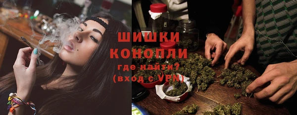 гидра Слюдянка
