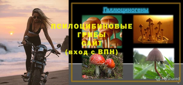 амф Алексин